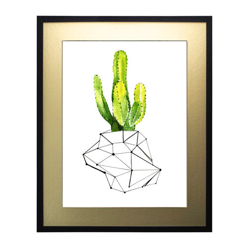 Cactus 1