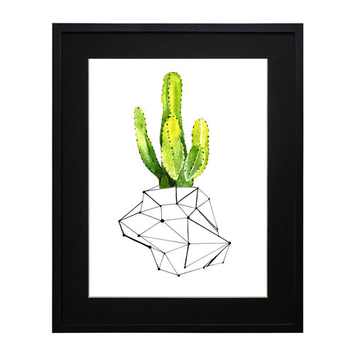 Cactus 1