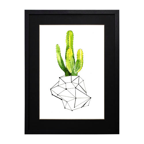 Cactus 1