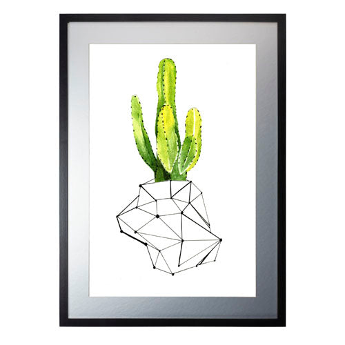 Cactus 1