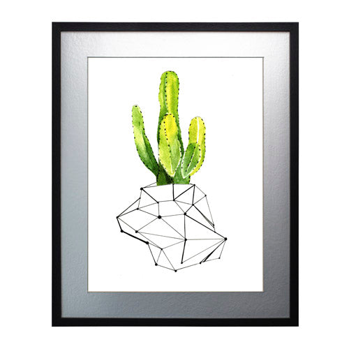 Cactus 1