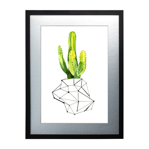 Cactus 1