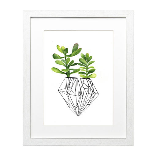Cactus 4