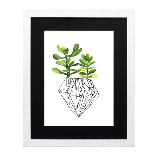 Cactus 4