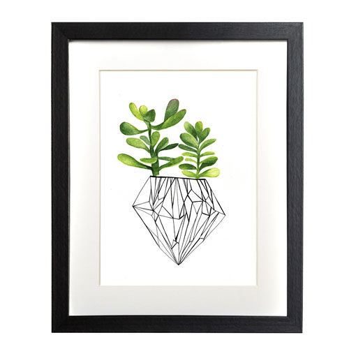 Cactus 4