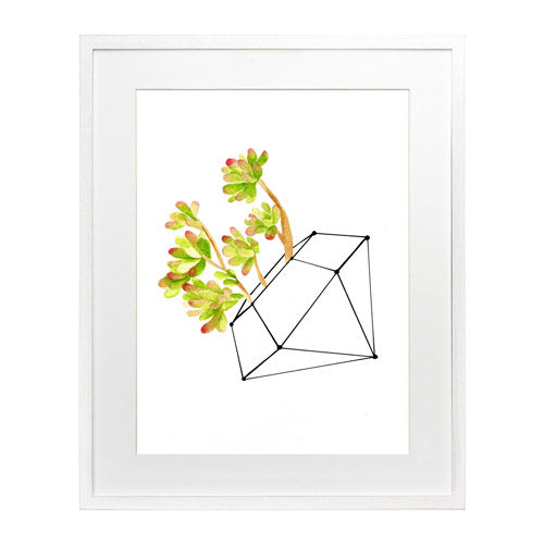 Cactus 4