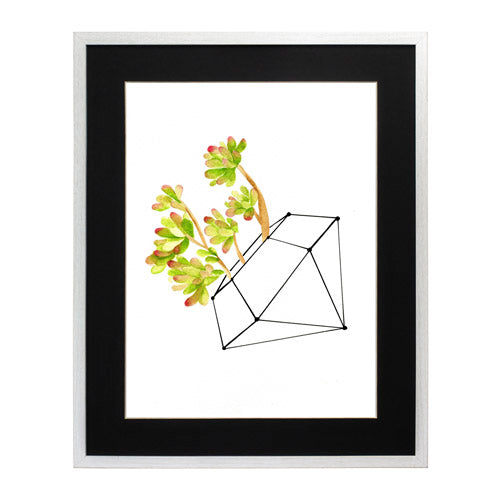 Cactus 4