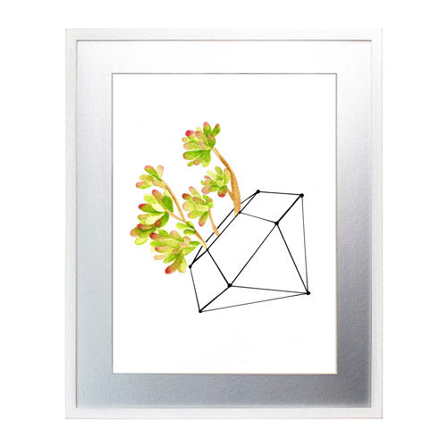 Cactus 4