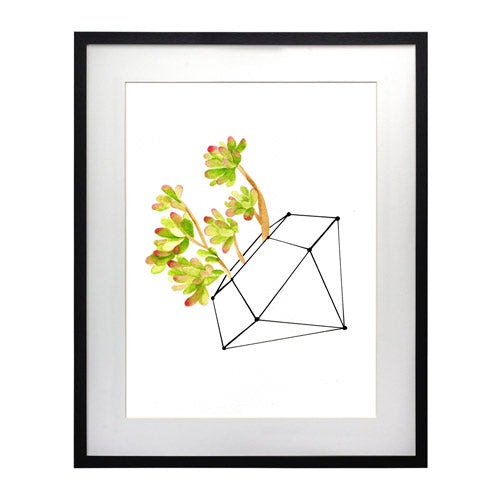 Cactus 4