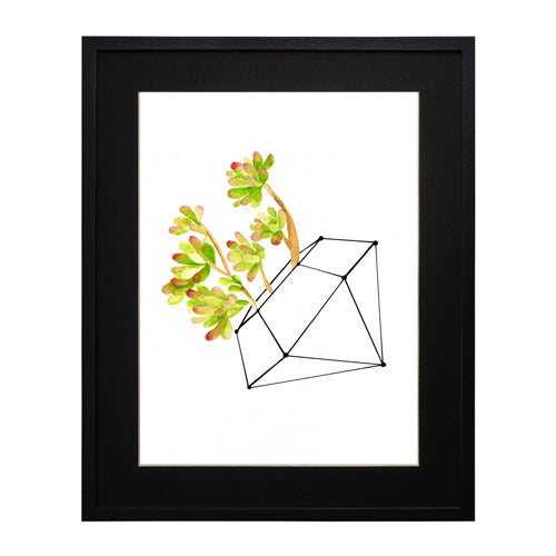 Cactus 4