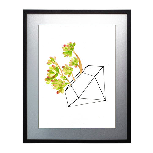 Cactus 4