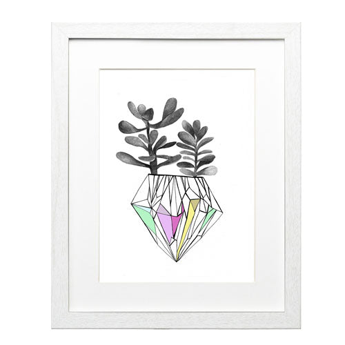 Cactus 6