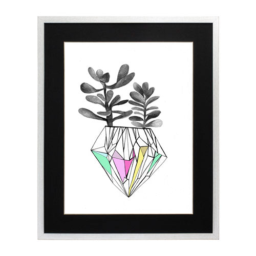 Cactus 6