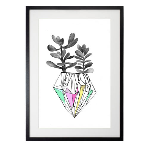 Cactus 6
