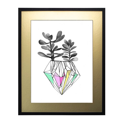 Cactus 6