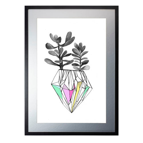 Cactus 6