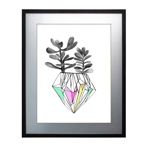 Cactus 6