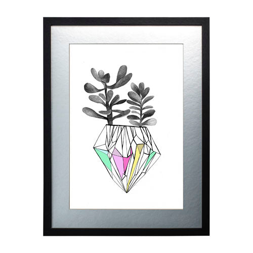 Cactus 6
