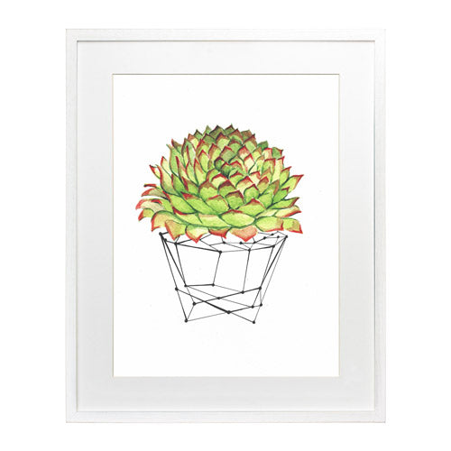Cactus 7