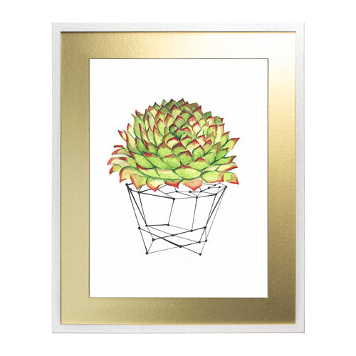 Cactus 7