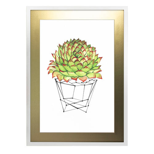 Cactus 7