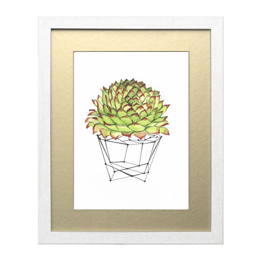 Cactus 7