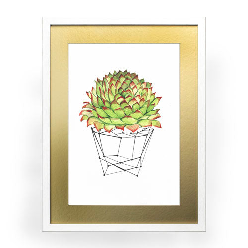 Cactus 7