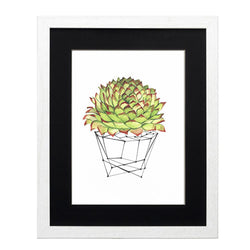 Cactus 7