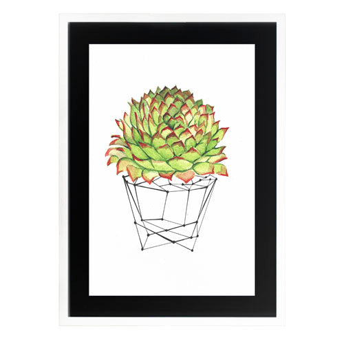 Cactus 7