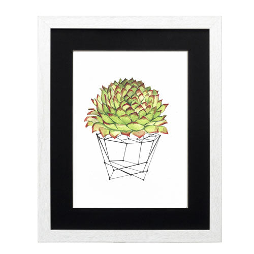 Cactus 7
