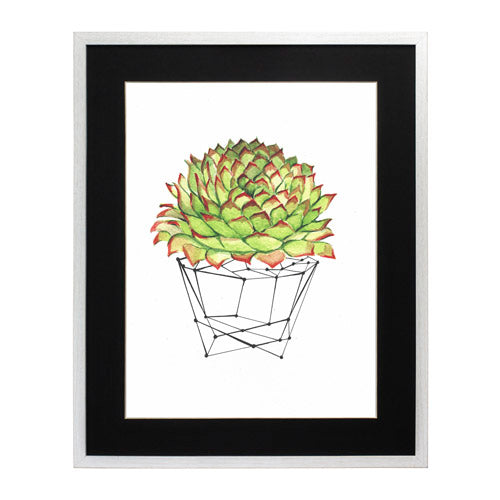 Cactus 7