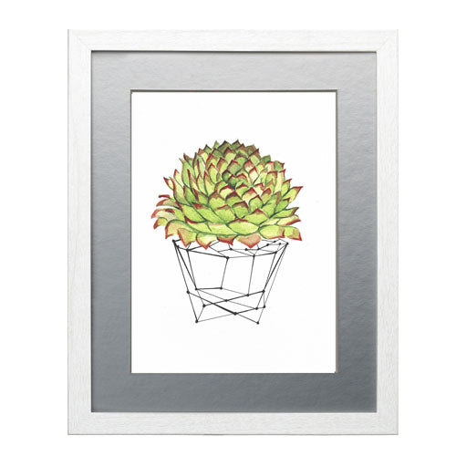 Cactus 7