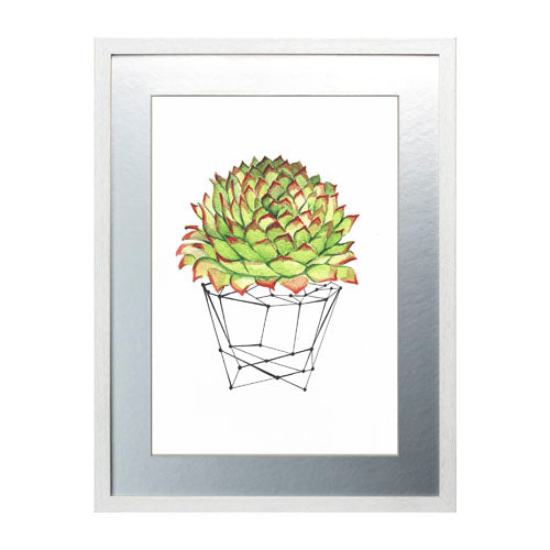 Cactus 7
