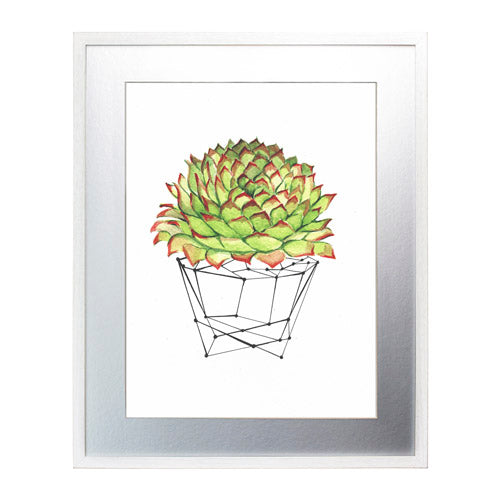 Cactus 7