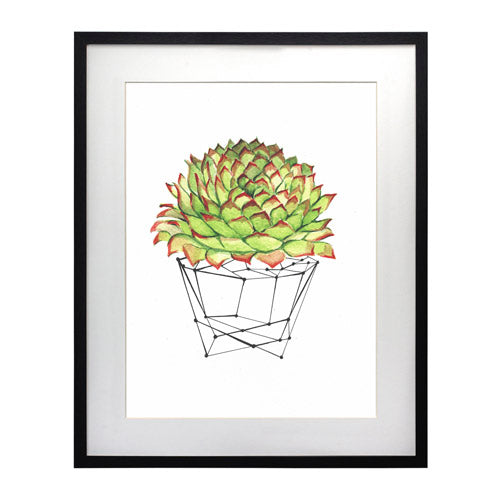 Cactus 7