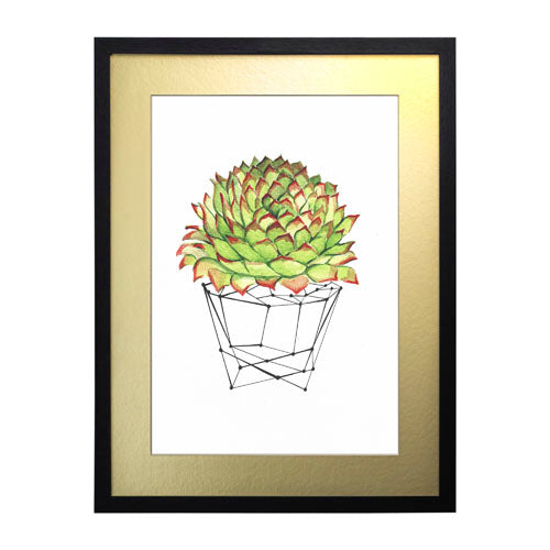 Cactus 7