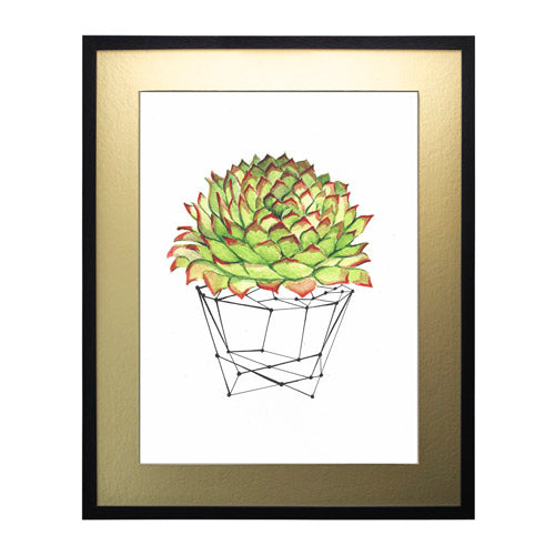Cactus 7