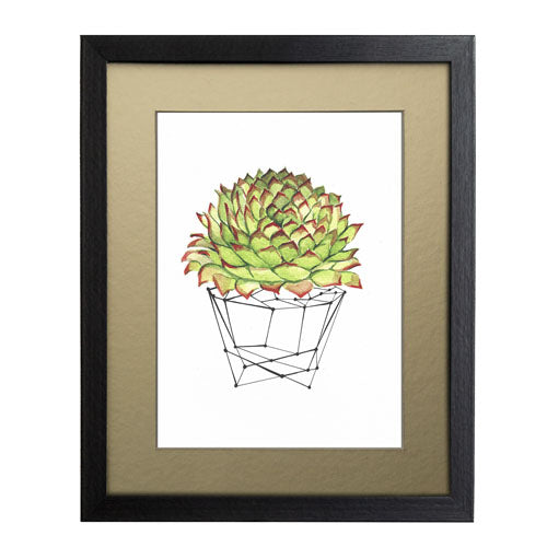 Cactus 7
