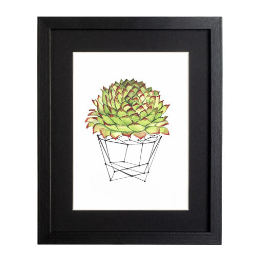 Cactus 7