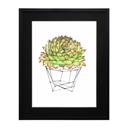Cactus 7