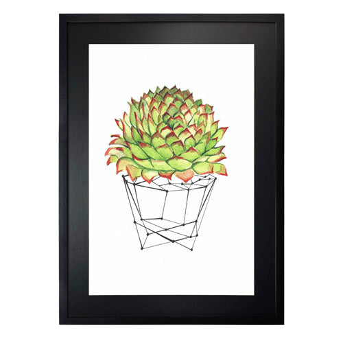 Cactus 7