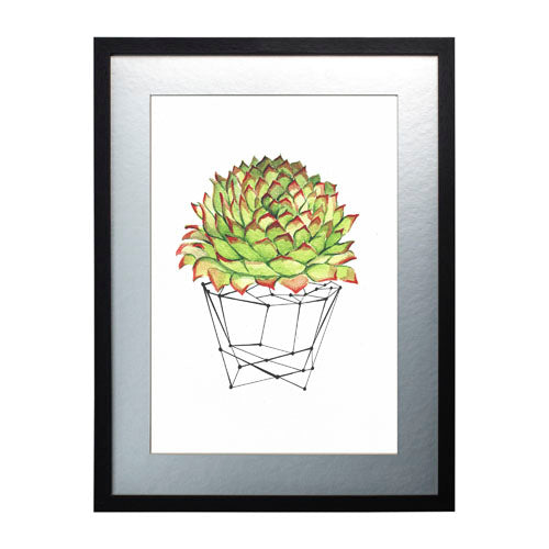 Cactus 7