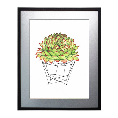 Cactus 7