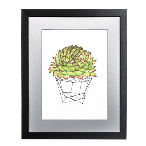 Cactus 7