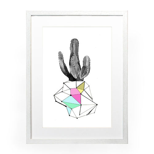 Cactus 8