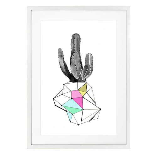 Cactus 8
