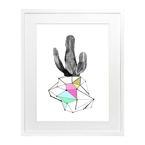 Cactus 8