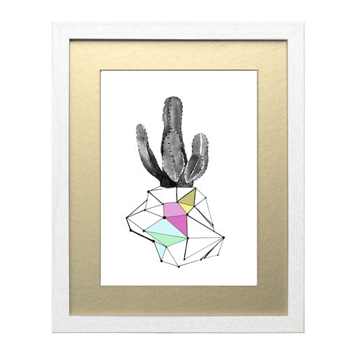 Cactus 8
