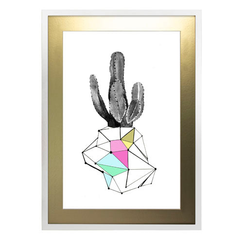 Cactus 8