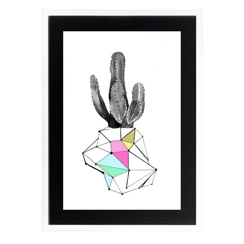 Cactus 8